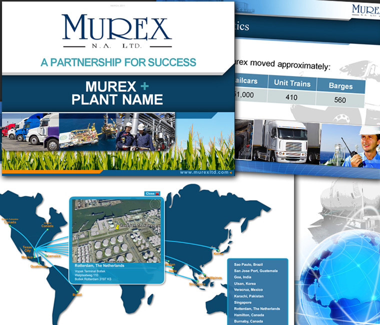 Murex PowerPoint Sales and Marketing Presentation with Interactive Flash Animation Design and Development