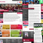 City College Website Design and Development