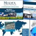 Murex PowerPoint Sales and Marketing Presentation with Interactive Flash Animation Design and Development