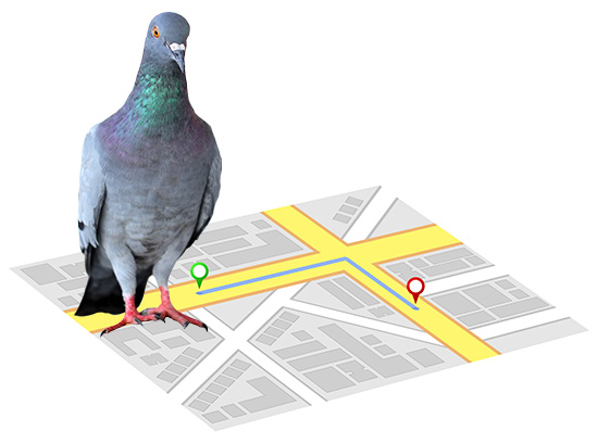 Google Pigeon Update