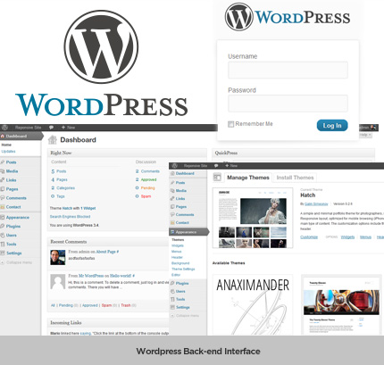 WordPress Back-end Interface